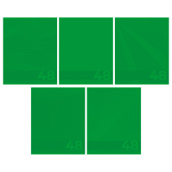 Тетрадь 48 листов клетка скрепка, лак обложка "Зелёная"