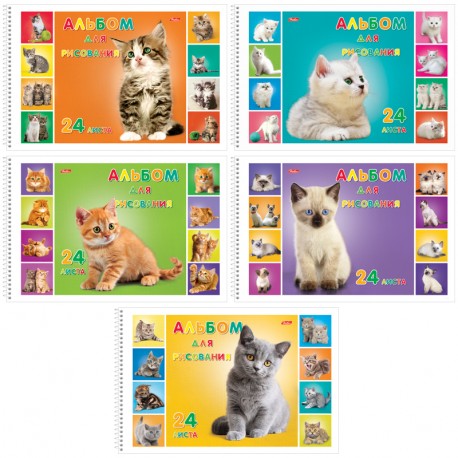 Альбом для рисования 24л А4 спираль "Милые котята", ассорти 